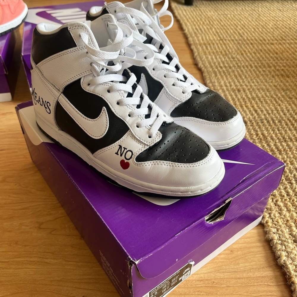 Nike Sb Dunk ‘By Any Means’ 8.5